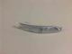 Mazda RX8 SE 11/03-12/09 RF Bumper Light